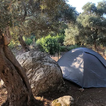 Campismo de Luxo Medusa Kamp *